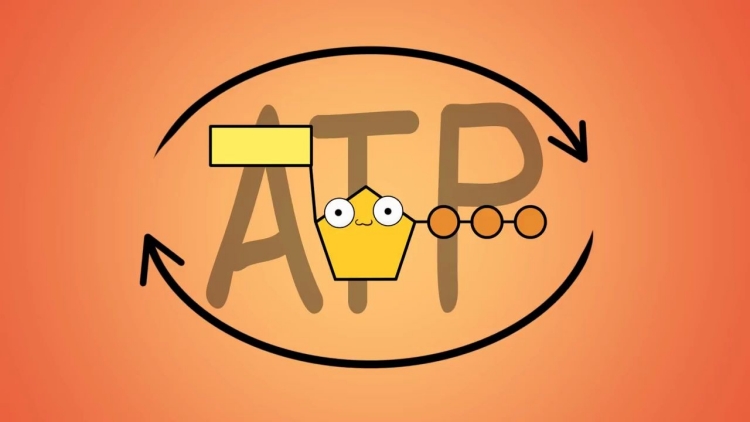 ATP快速熒光檢測儀是一種高效、準(zhǔn)確、易操作的設(shè)備